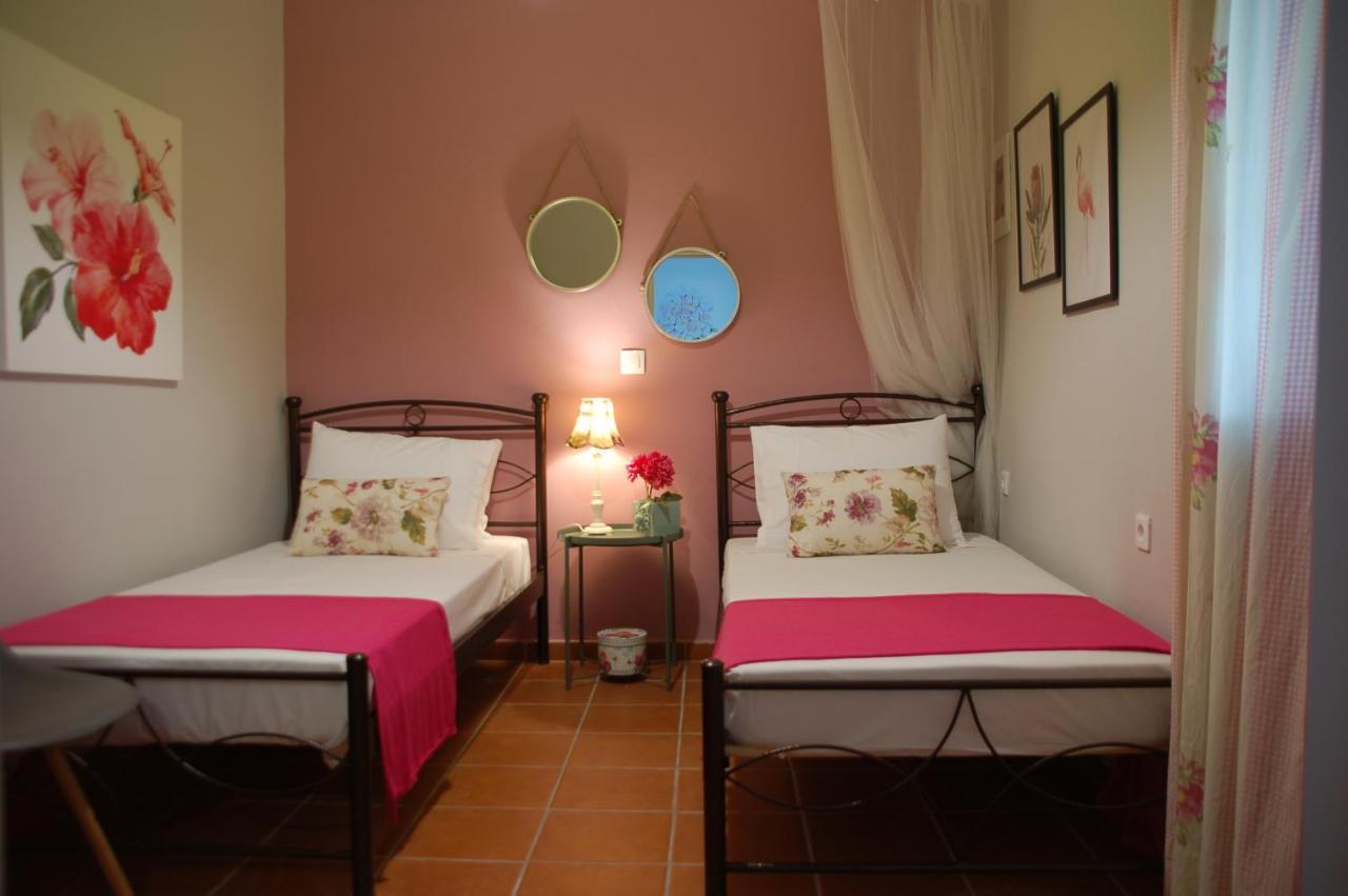 Domenica Apts II Laganas Exteriér fotografie